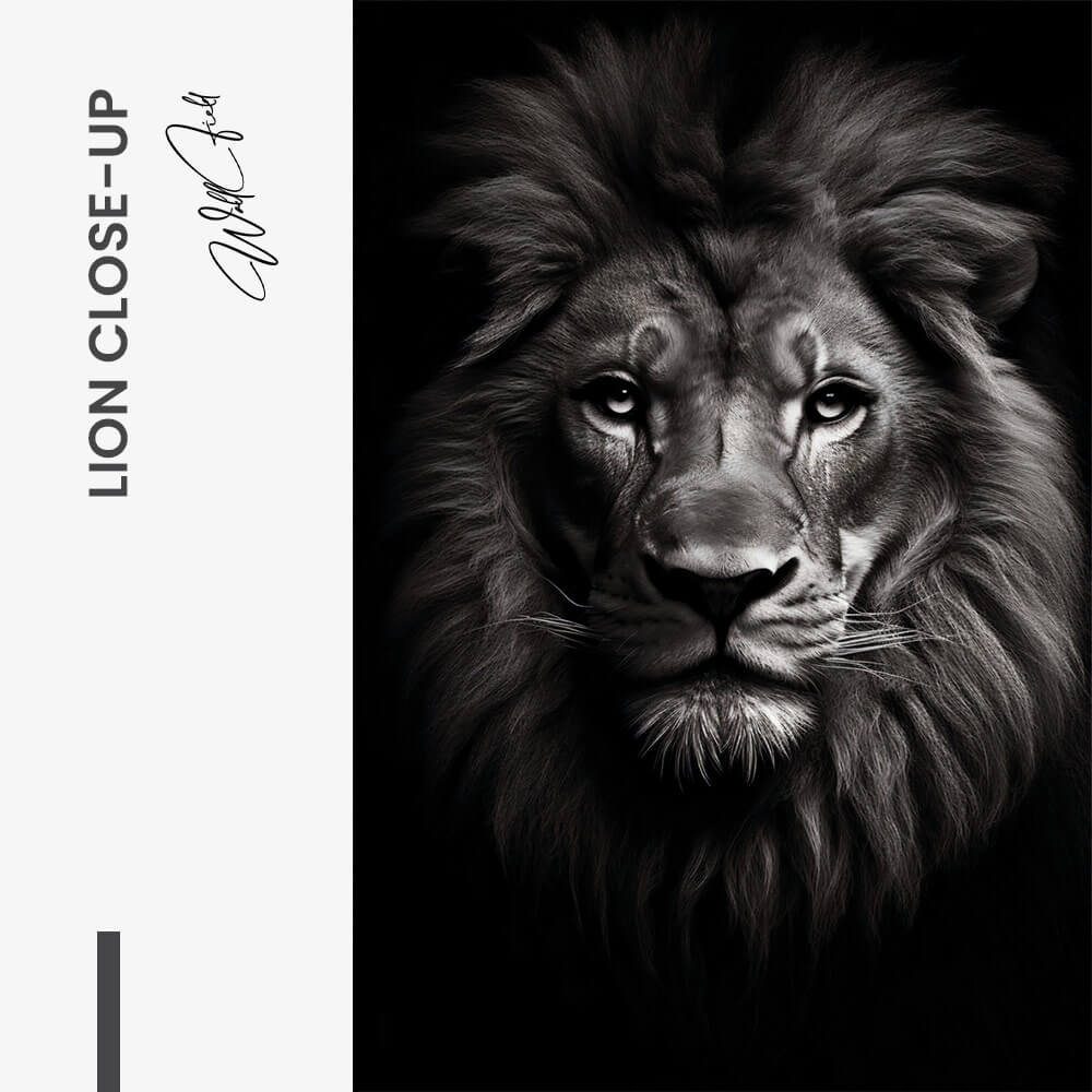 Lion Close-Up - Glas