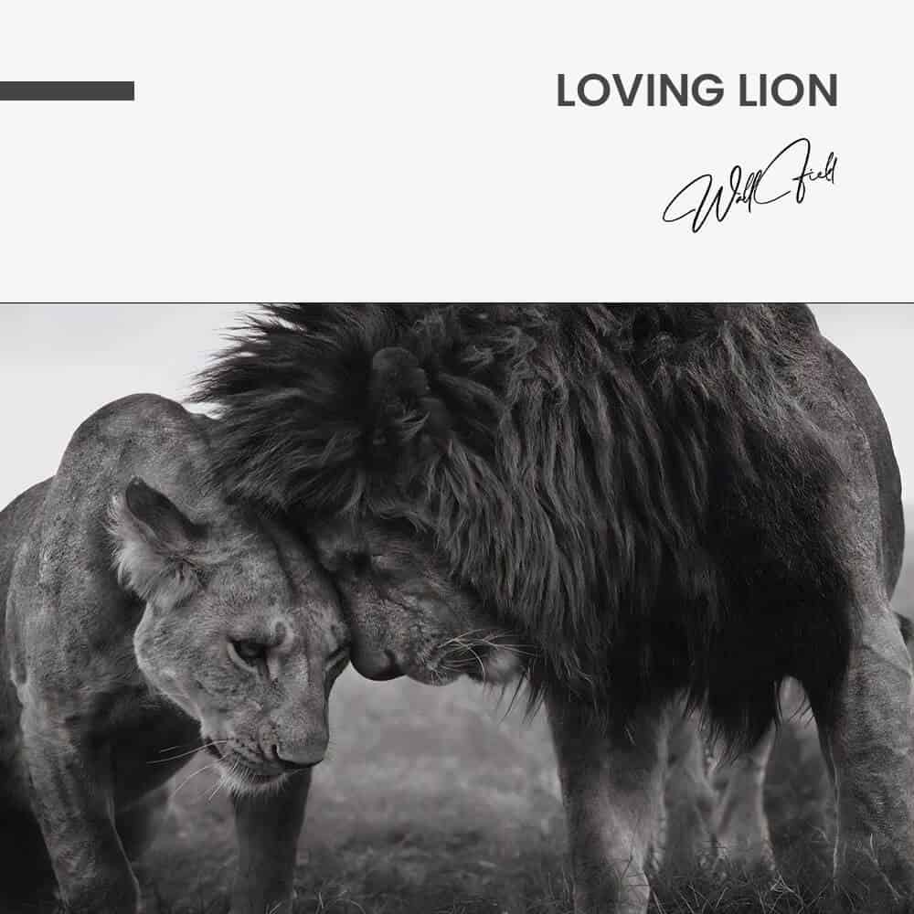 Loving Lion - Glas
