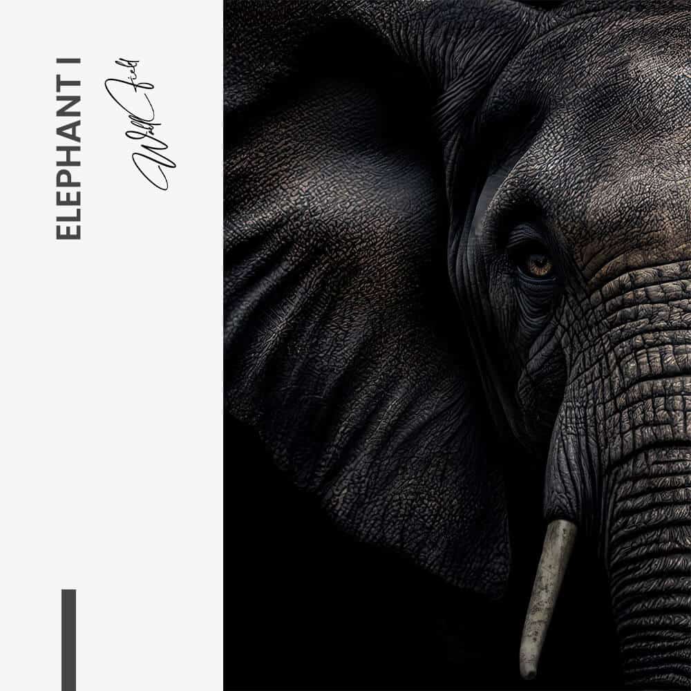Bundle: "Elephant" (2x) – Glass