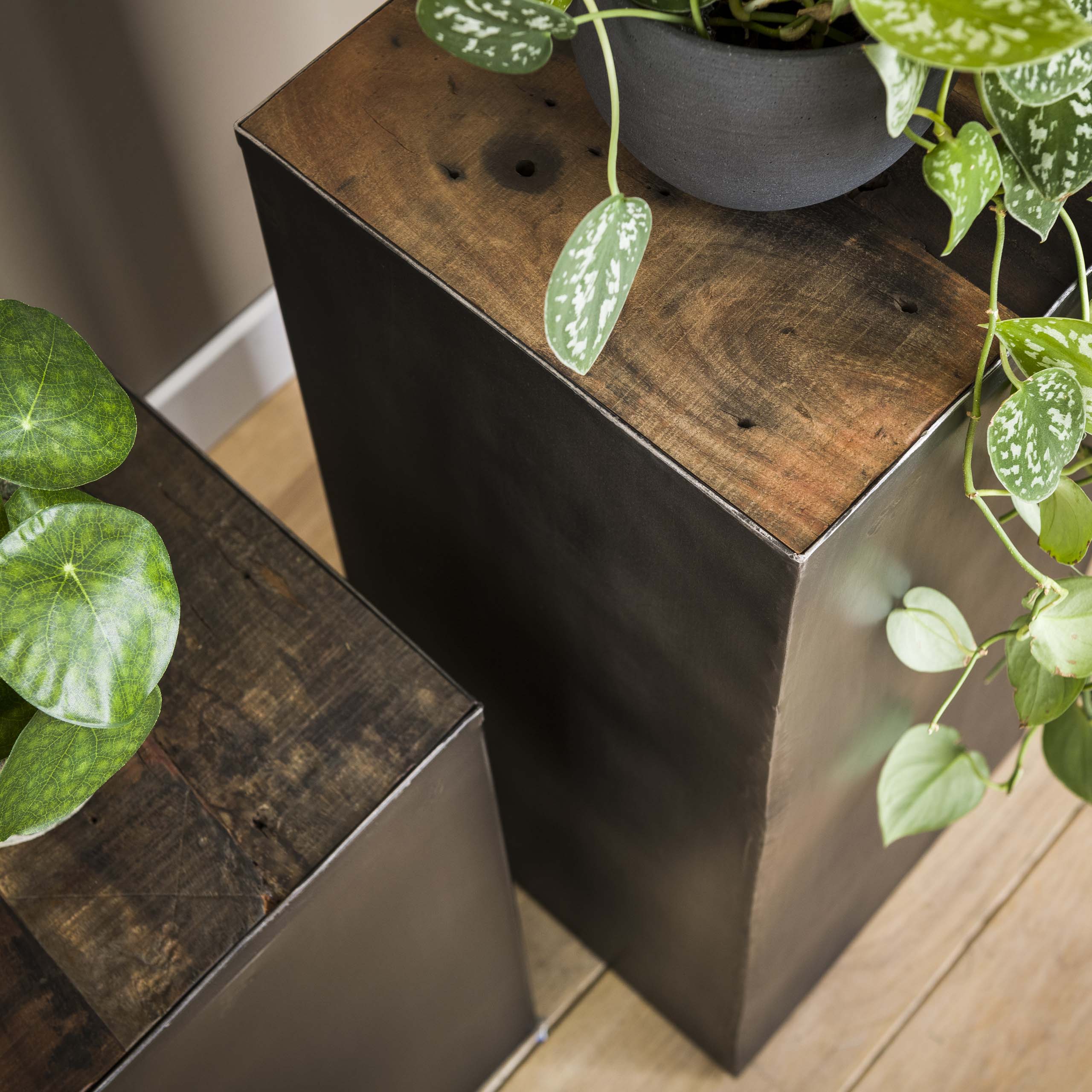 Blompelare 70 naturborste Flottstål / Robust lövträ