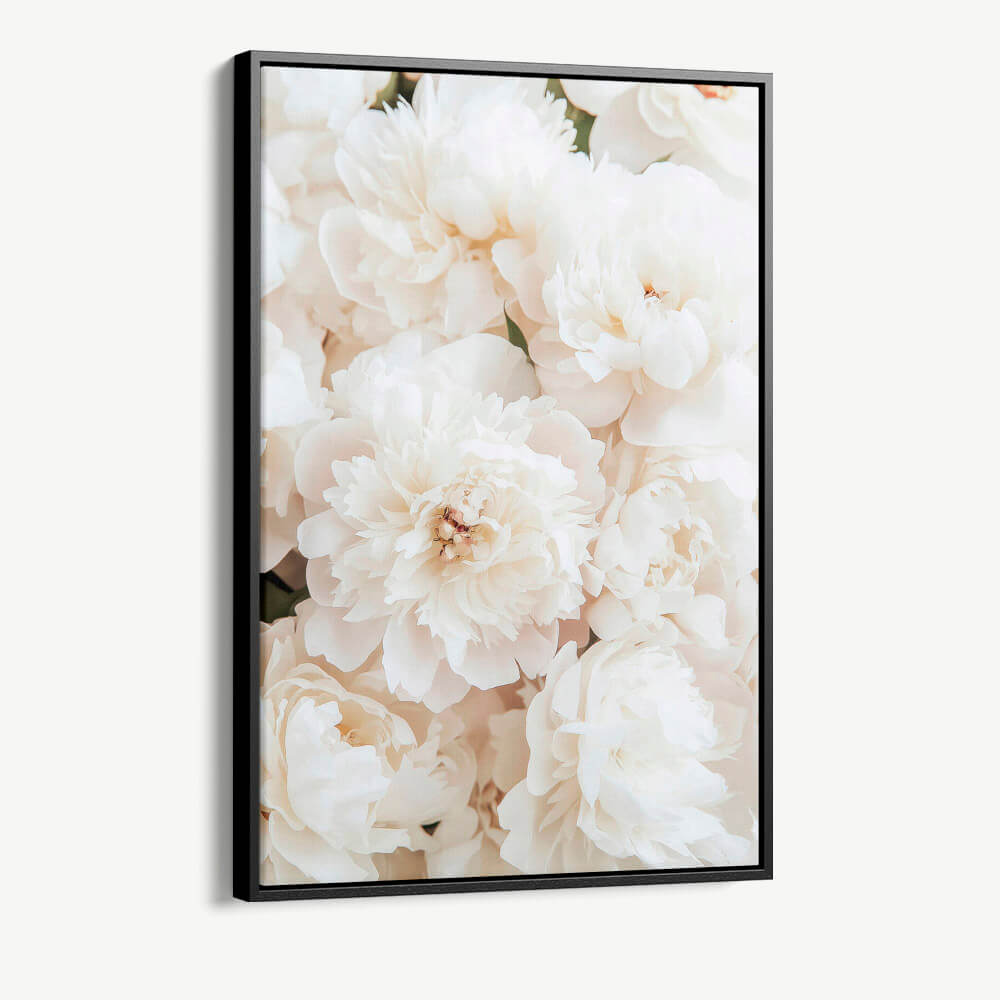 "White Roses"