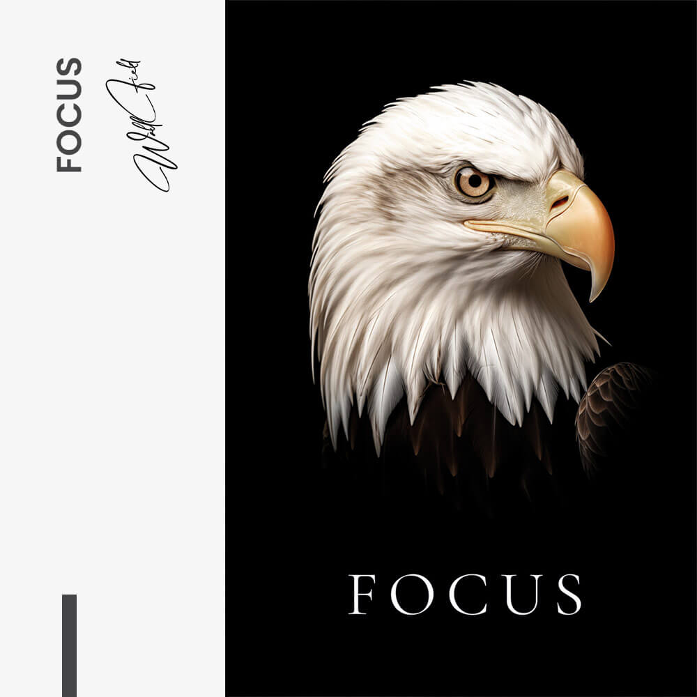 Focus – Glass
