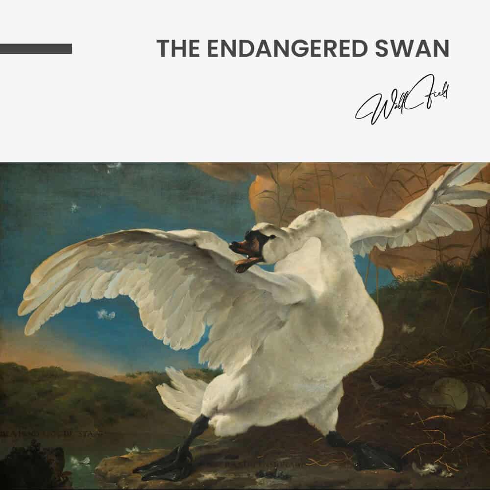 The Endangered Swan - Glas