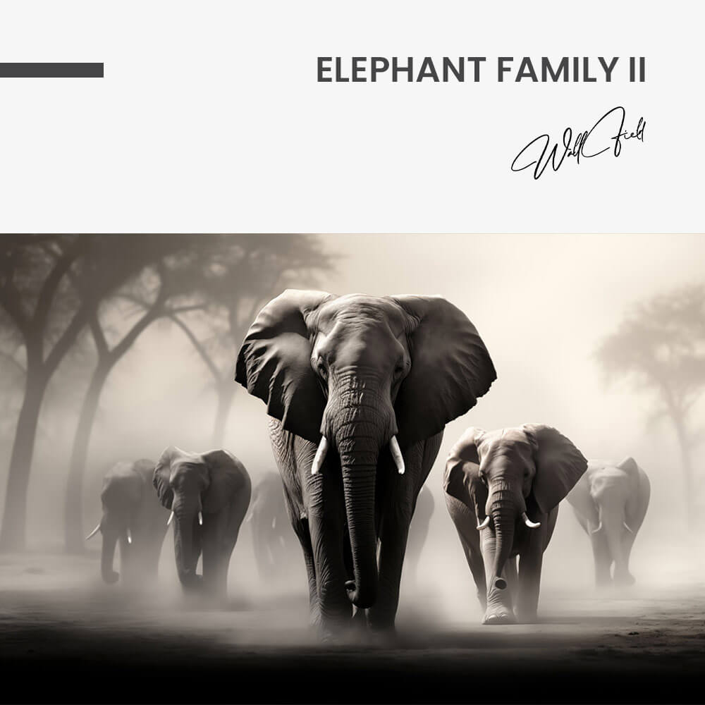 Elephant Family II – Glass