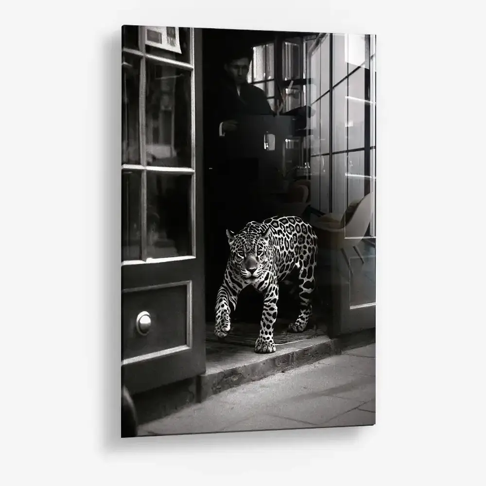 Urban Prowl – Glas