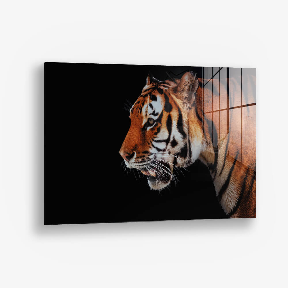 Horizontal Tiger – Glass