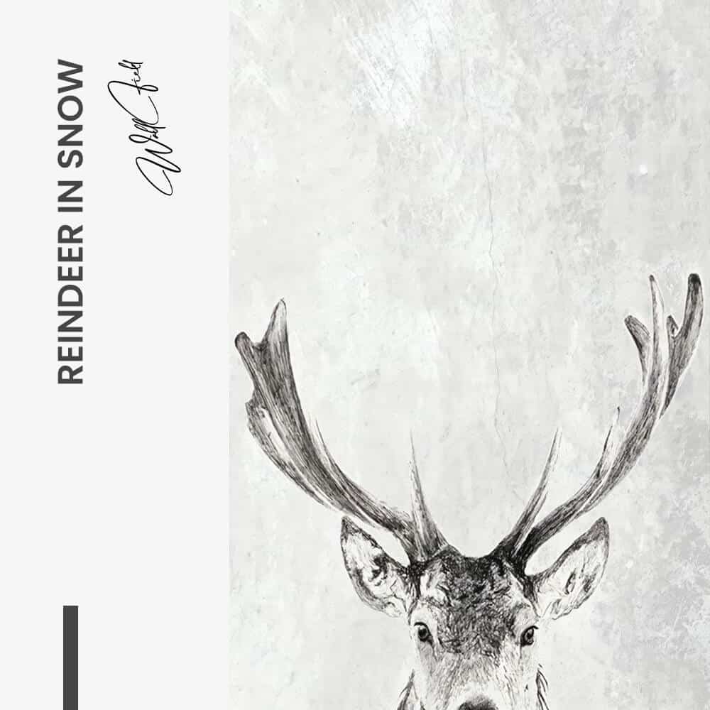 Reindeer in snow - Glas