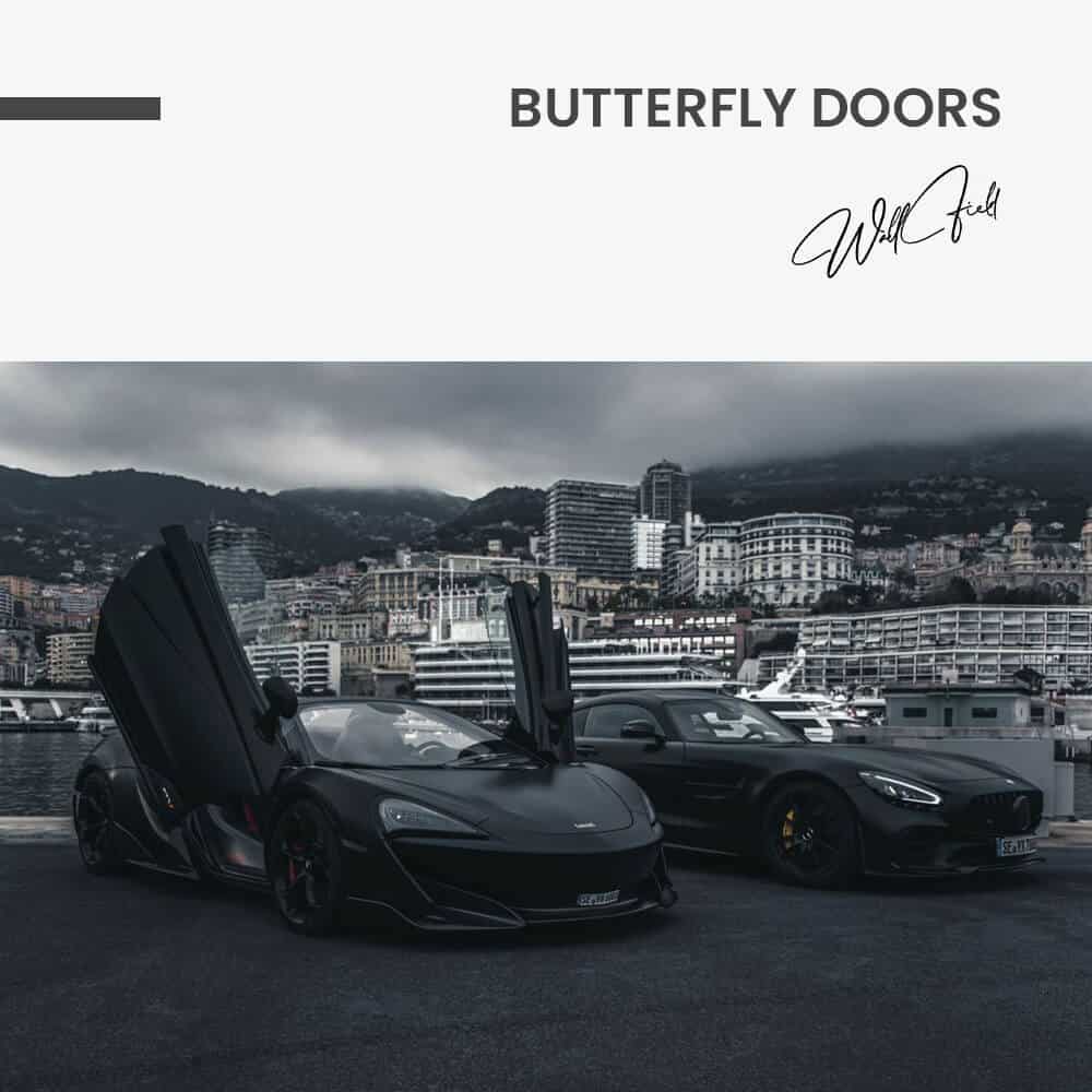 Butterfly Doors - Glas