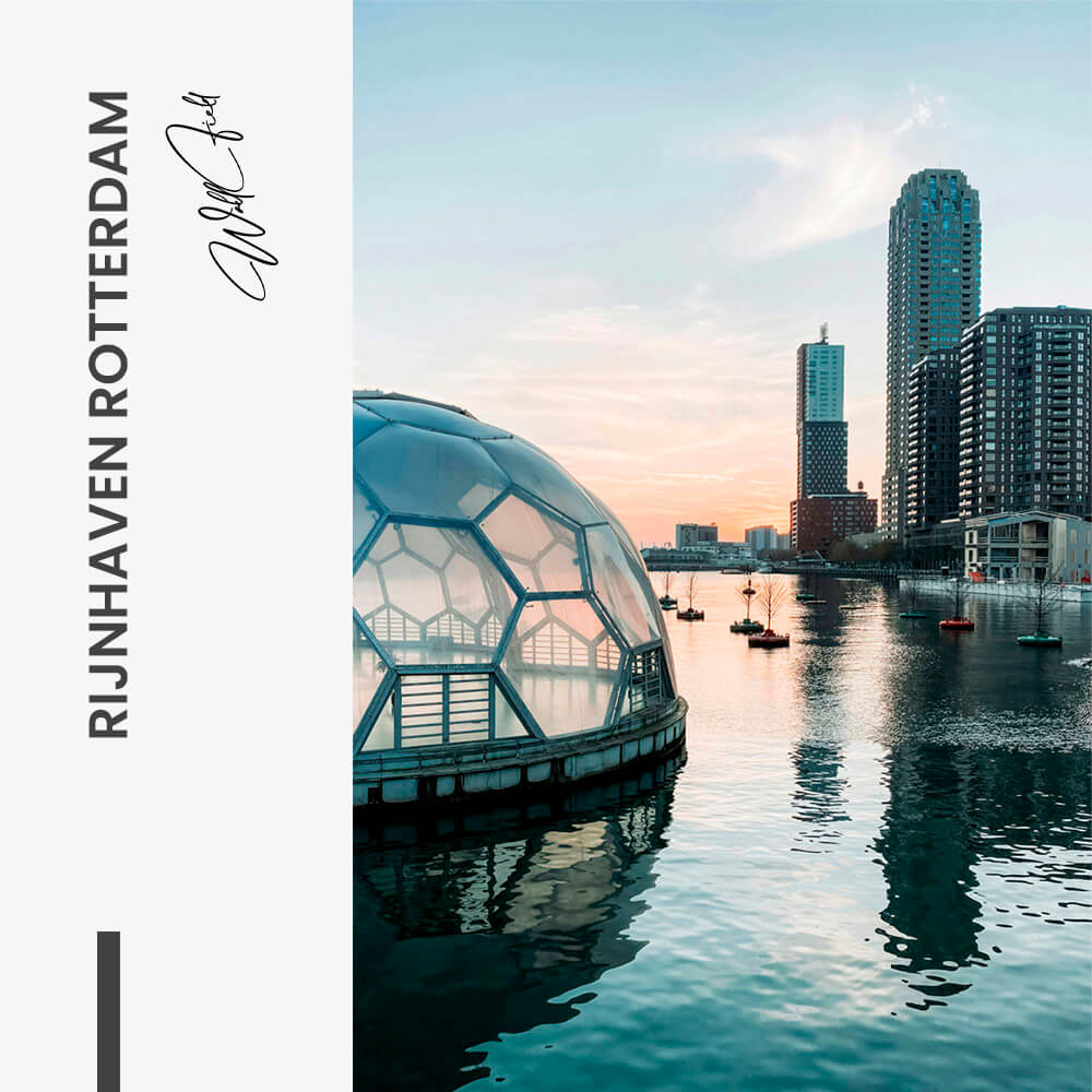 Rijnhaven Rotterdam – Glass