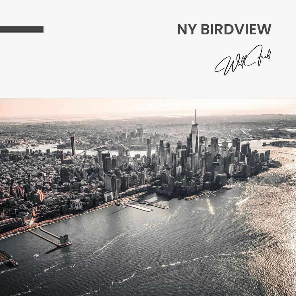 NY Birdview - Glas