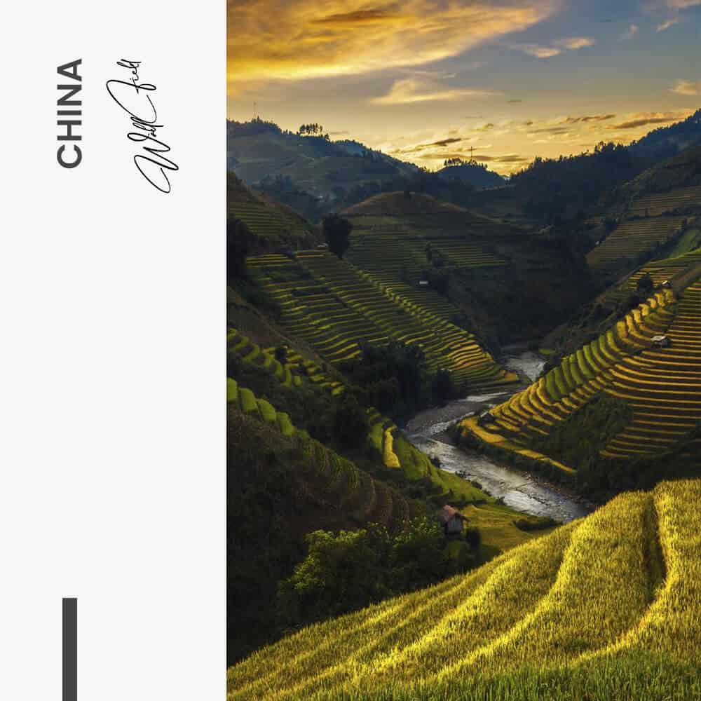 China - Glas