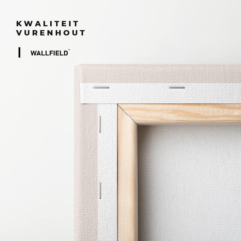 "David of Michelangelo"