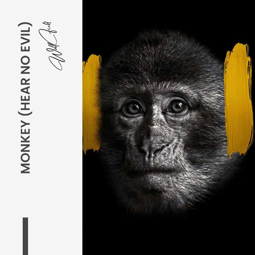 Monkey (hear no evil) - Glas