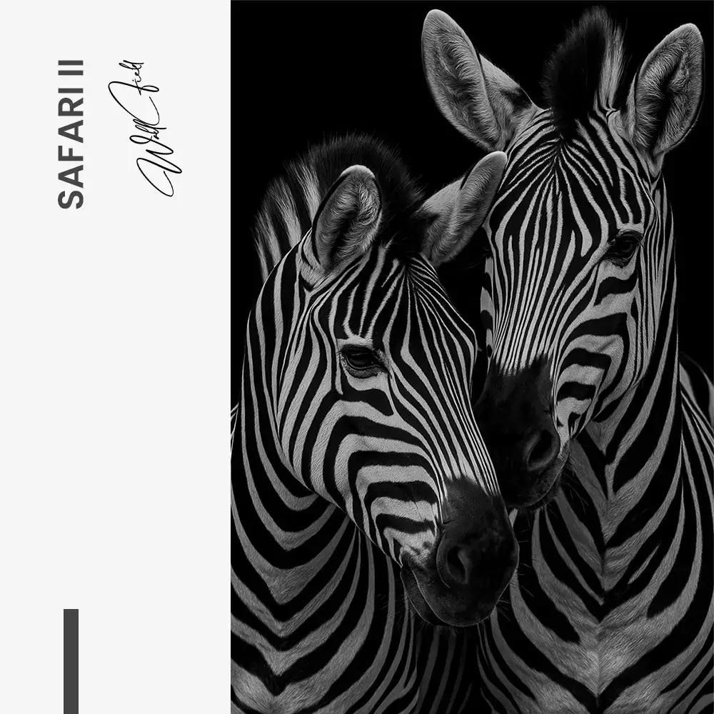 Bundle: "Safari" (3x) – Glass