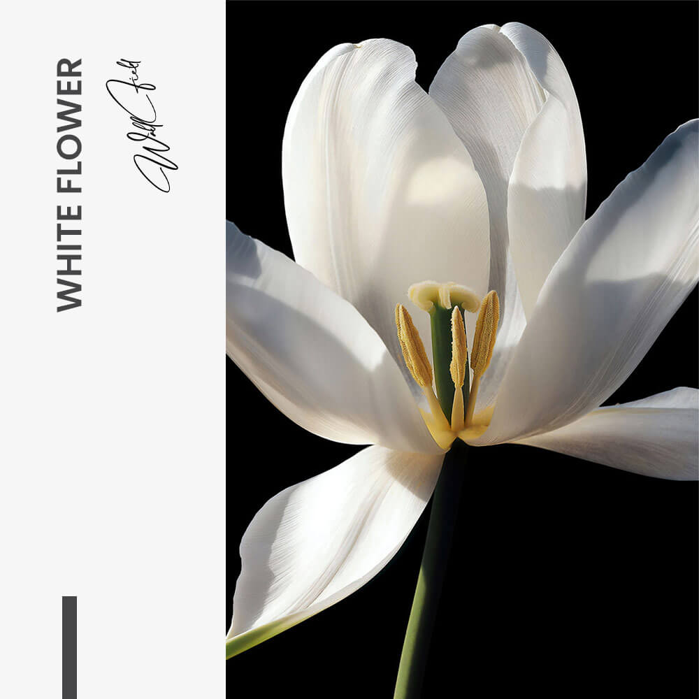 White Flower – Glass