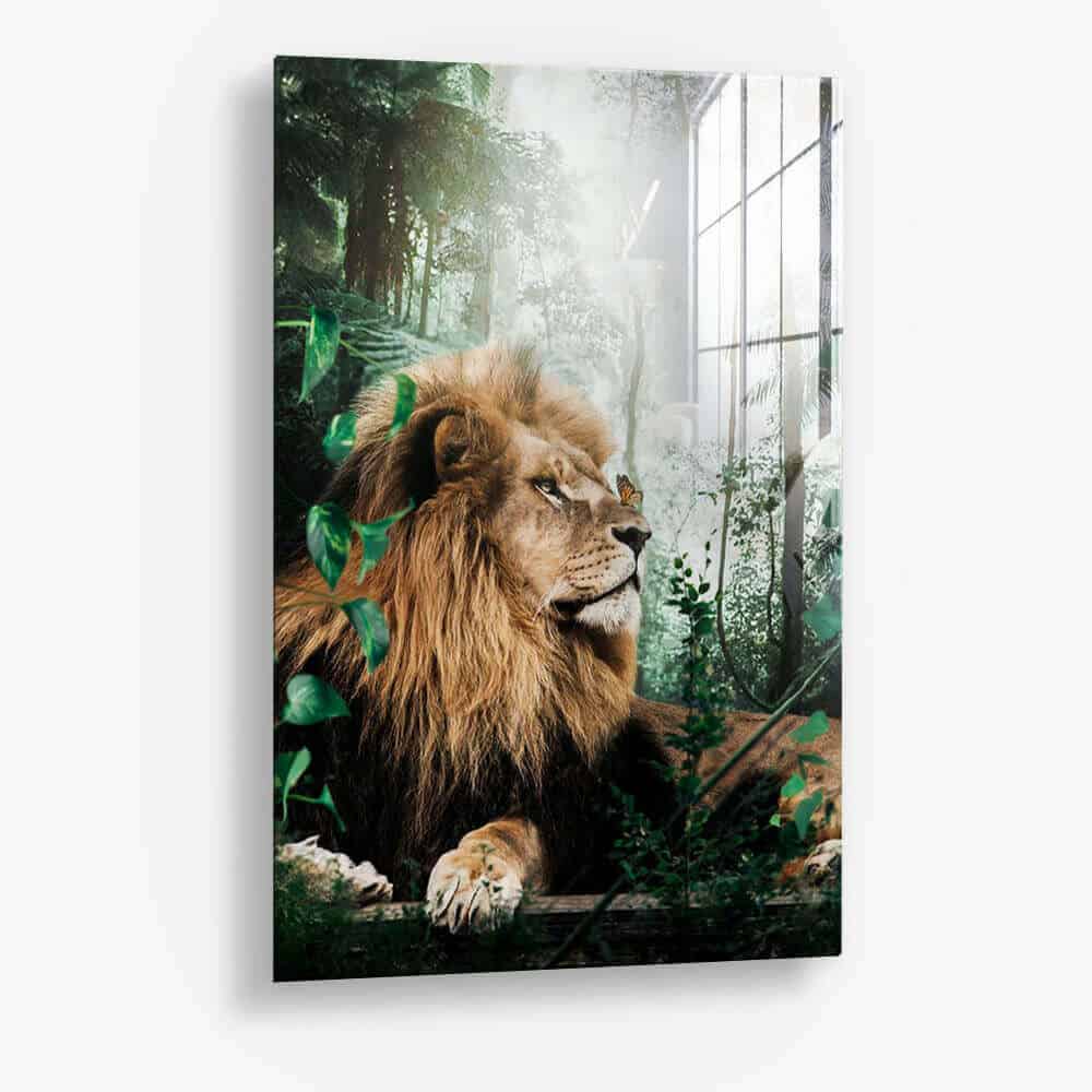 Forest Lion - Glas