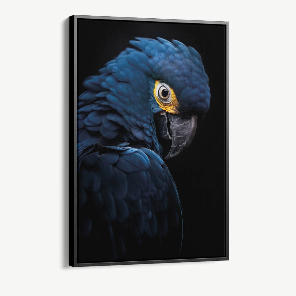 "Blue Macaw"