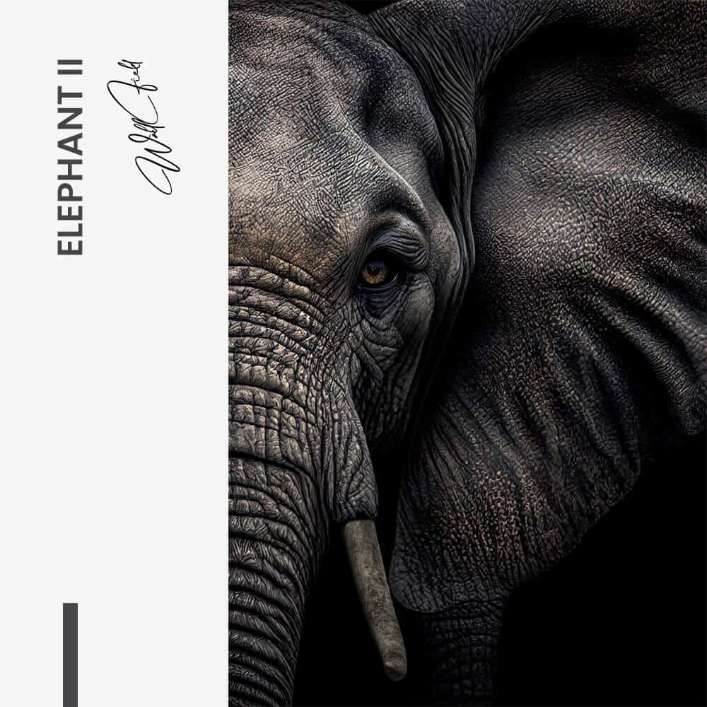 Bundle: "Elephant" (2x) – Glass