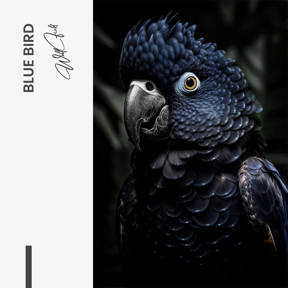 Blue Bird – Glass