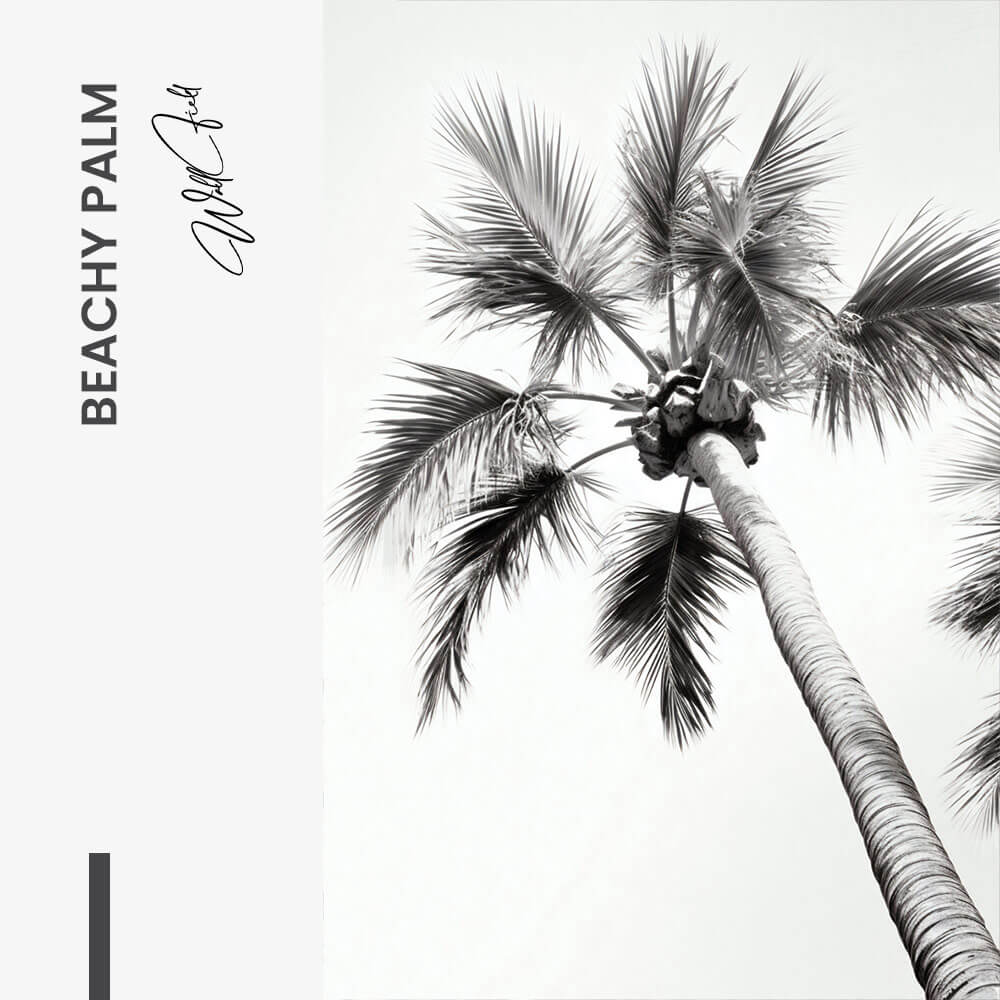 Beachy Palm - Glas