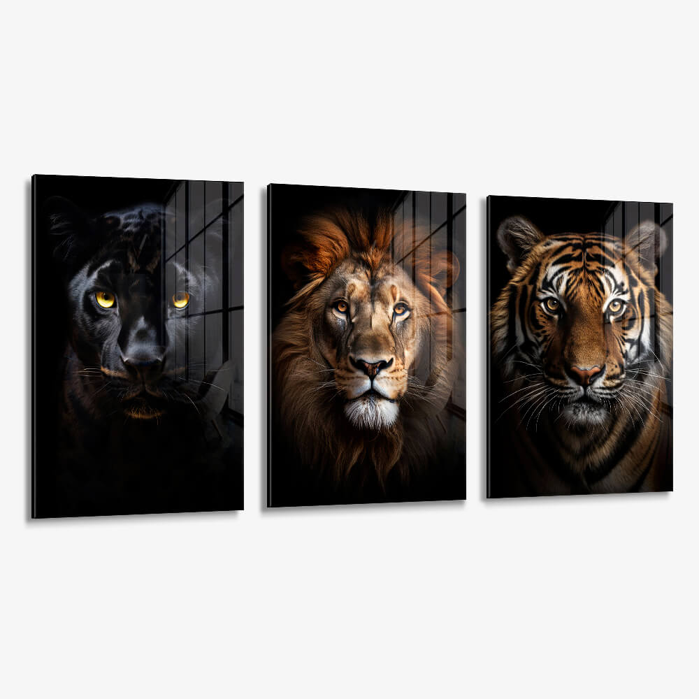 Bundel: "Big Cats" (3x) – Glass