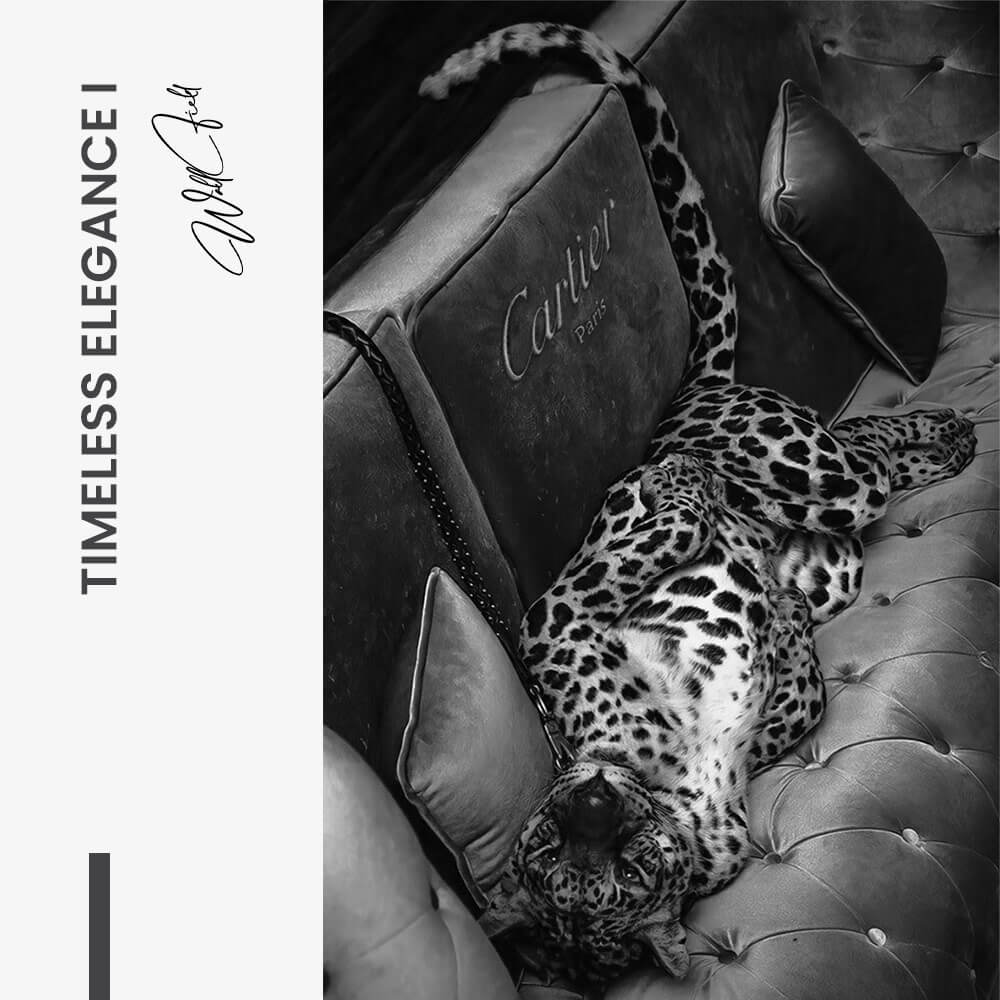 Bundle: "Timeless Elegance" (2x)