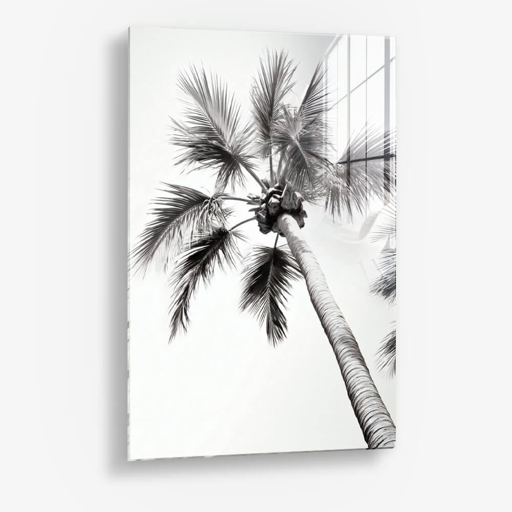 Beachy Palm - Glas