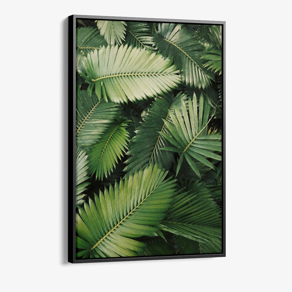 "Tropic Pattern"