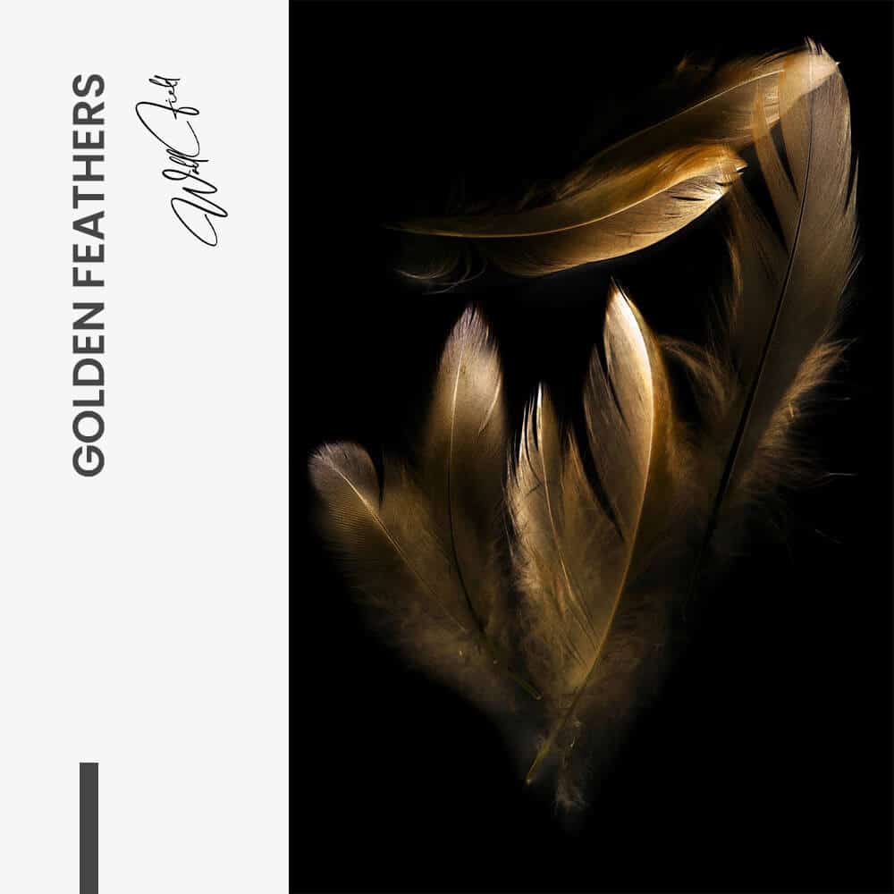 Golden Feathers - Glas