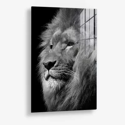 Regal Depth – Glass