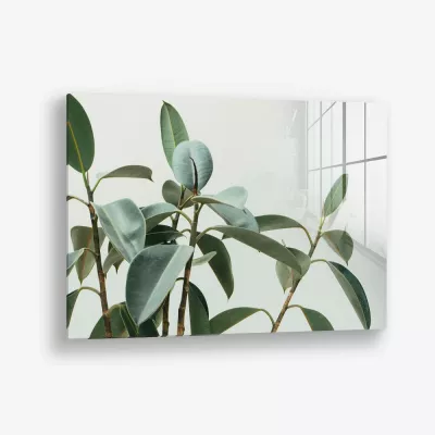 Soft Structure – Glass