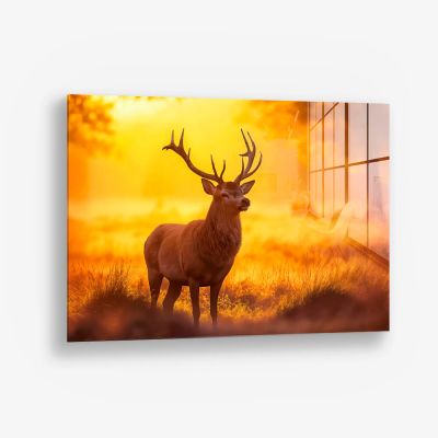 Deer – Glass