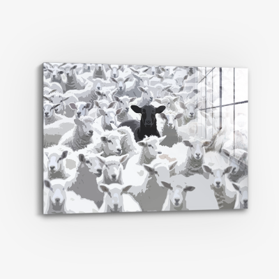 The Black Sheep - Glas