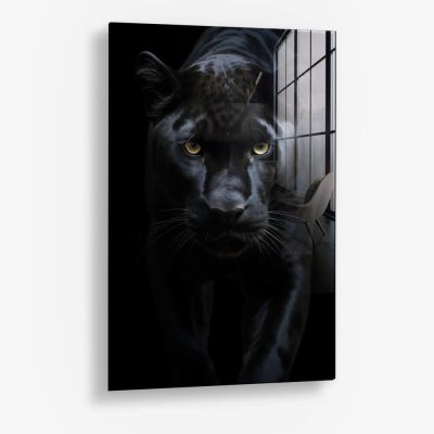 Black Jaguar – Glass