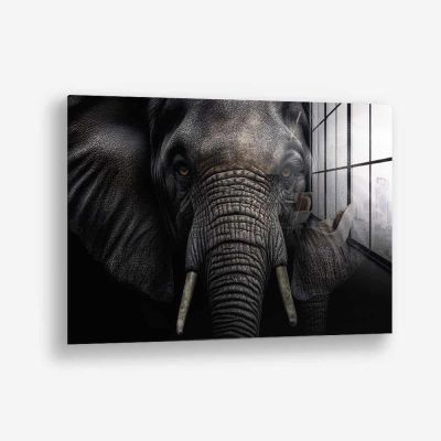 Elephant Close-Up – Glass
