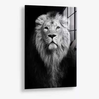 Safari III – Glass