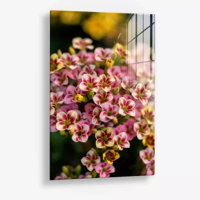 Crimson Ratio – Glass