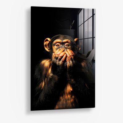 Dark Monkey Speak no Evil – Glass