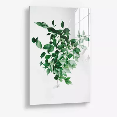 Green Construct – Glass