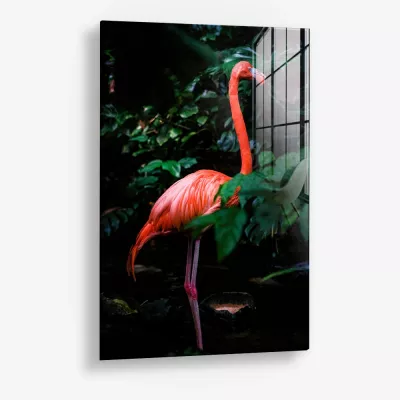 Still in Scarlet – Glass