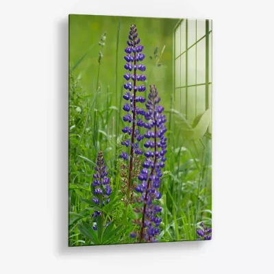 Upright Signal – Glass