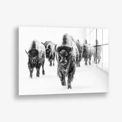 Through the Snow – Glass