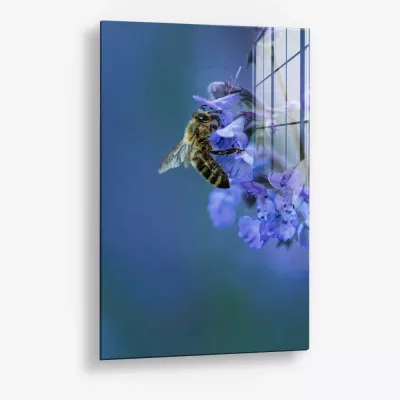 Blue Range Work – Glass