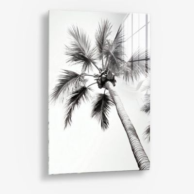 Beachy Palm - Glas