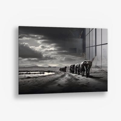 Elephant Family - Glas