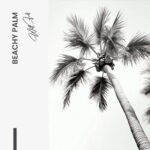 Beachy Palm - Glas - Bild 4