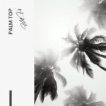 Palm top - Glas - Bild 4