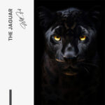The Jaguar – Glas - Bild 4