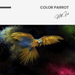 Color Parrot – Glas - Bild 4