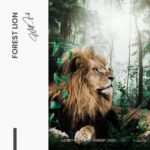 Design-signature---tiny.jpg